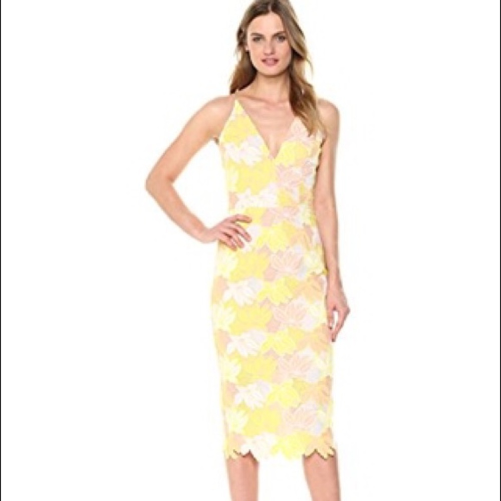 NWT Dress the Population Aurora Floral Midi Dress